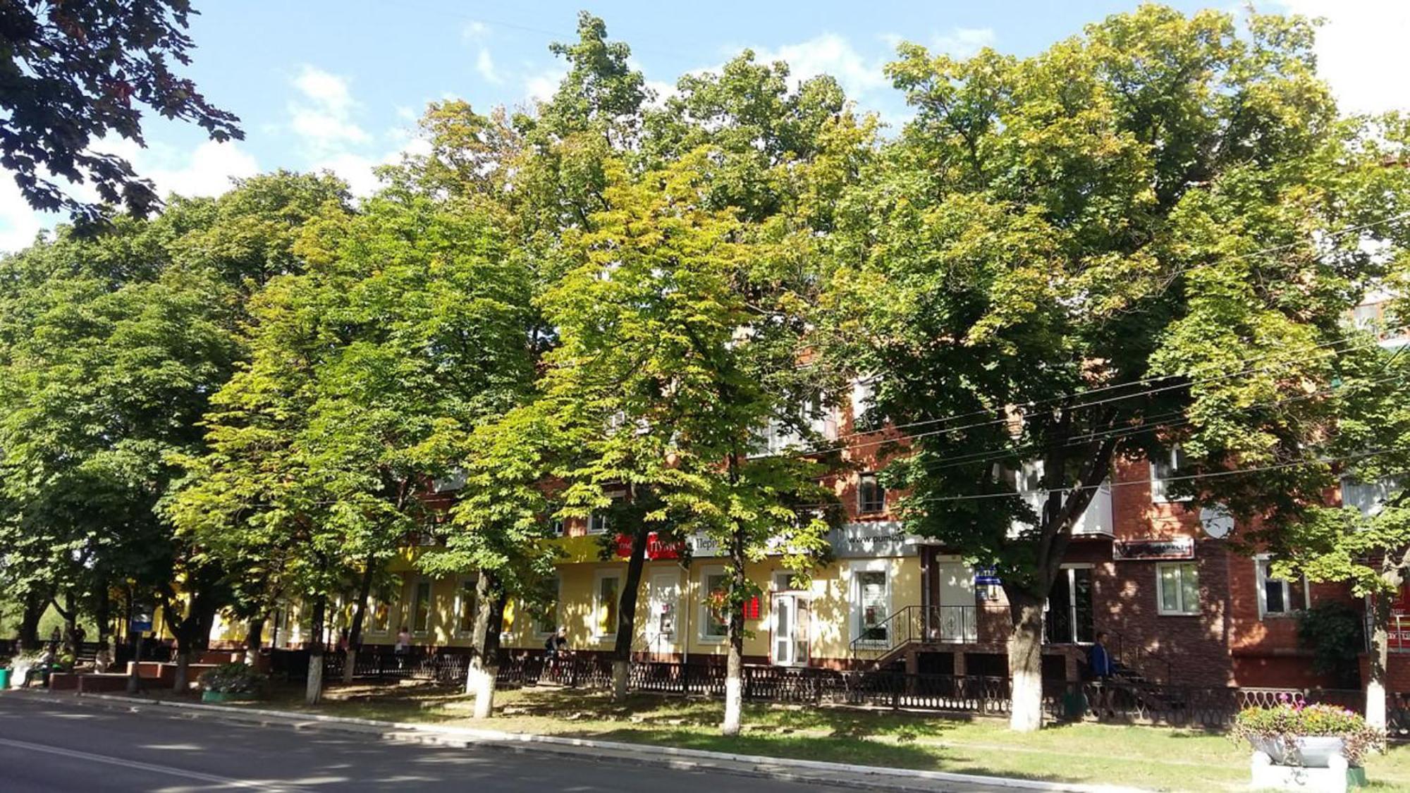 Затишна Квартира На Проспекті Соборний 61 Oleksandriia Exterior photo